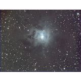 NGC 7023 - The Iris Nebula