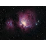 M42 & NGC1977