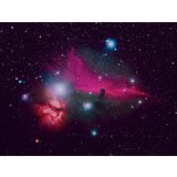 The Horsehead and Flame Nebulae at Orion Store