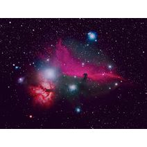The Horsehead and Flame Nebulae at Orion Store