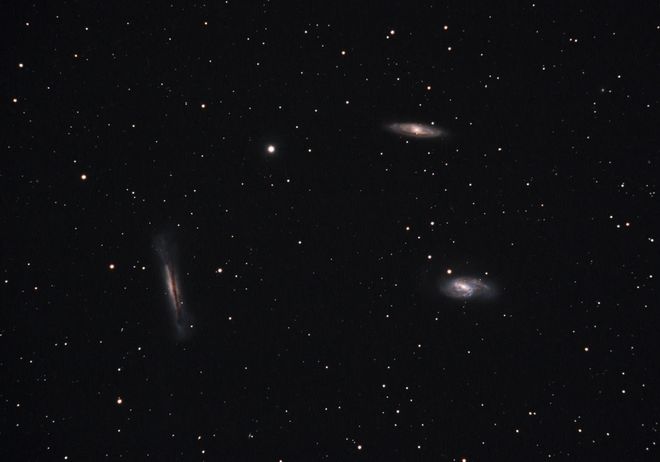 NGC 3628, M65, M66 - Leo Triplet